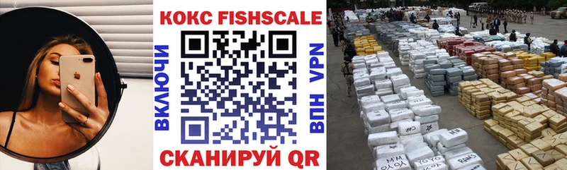 COCAIN FishScale  купить наркоту  Белый 