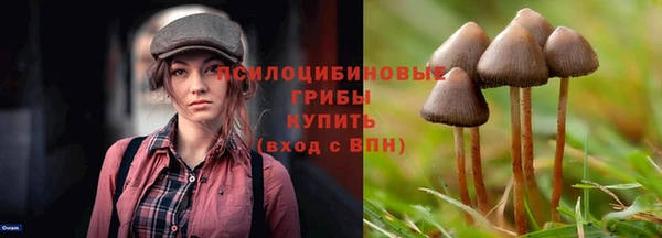МДМА Богданович