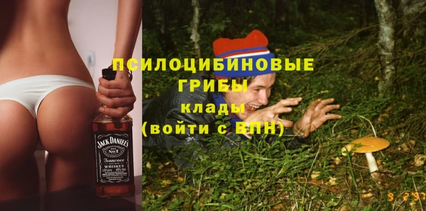 первитин Протвино