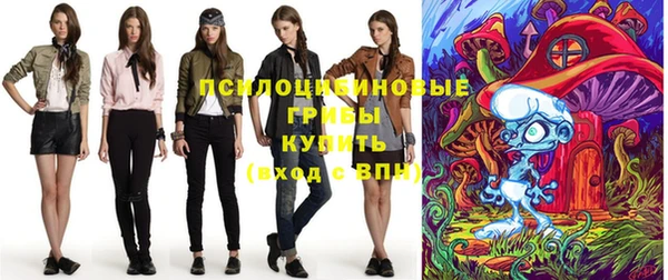 амф Богородицк