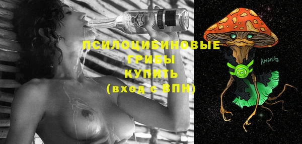 МДМА Богданович