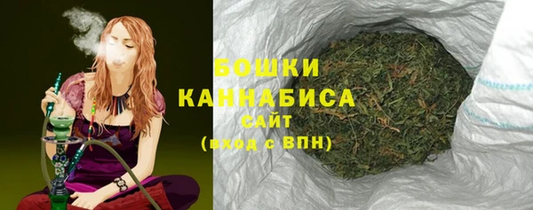 спиды Губаха